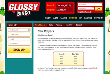 Desktop view of Glossy Bingo
