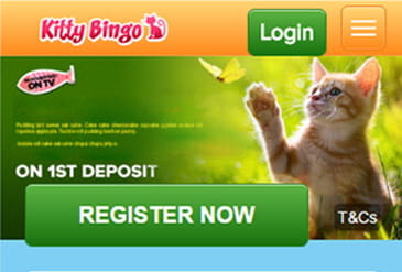 The same excellent service on Kitty mobile bingo